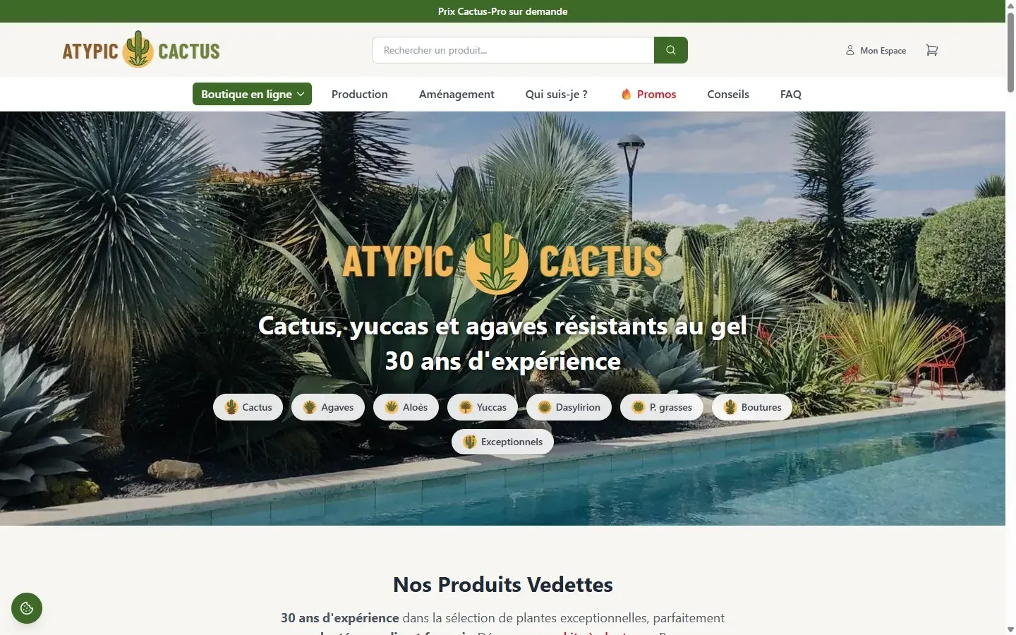 Boutique Atypic Cactus maintenue et optimisée après sa refonte